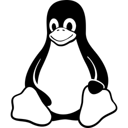 Linux Emulator Saleh Askri